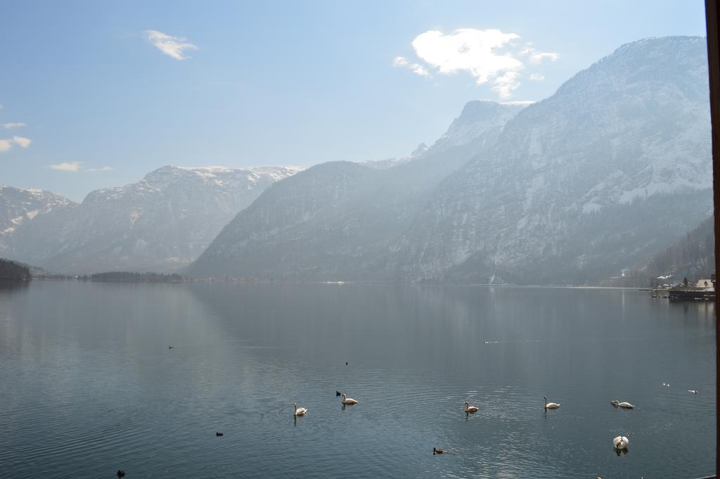 Apartment Luise Hallstatt Rum bild