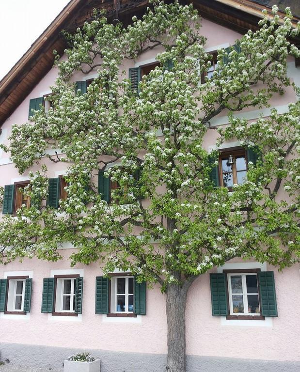 Apartment Luise Hallstatt Rum bild